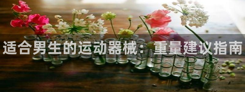 凯时平台怎么样:适合男生的运动器械:重量建议指南