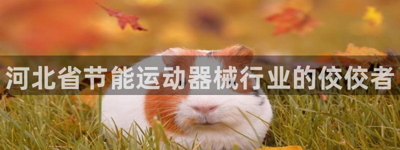 尊龙网站登录:河北省节能运动器械行业的佼佼者