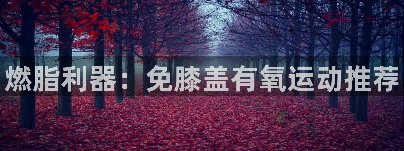 尊龙百度贴吧:燃脂利器:免膝盖有氧运动推荐