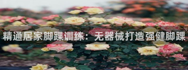 尊龙人生就是博菲律宾台子:精通居家脚踝训练:无器械打造强健脚